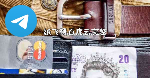 纸飞機百度云完整