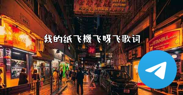 我的纸飞機飞呀飞歌词