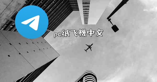 pc纸飞機中文