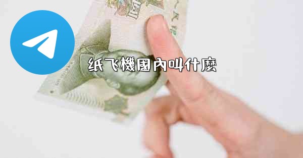 纸飞機國內叫什麼