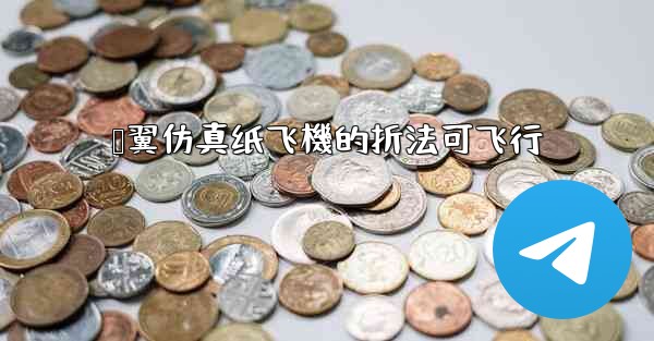 鸭翼仿真纸飞機的折法可飞行