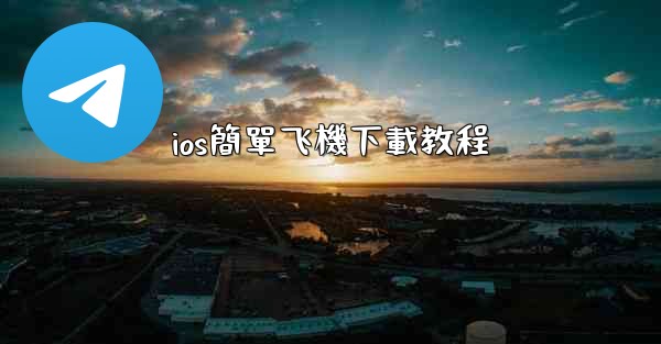 ios簡單飞機下載教程