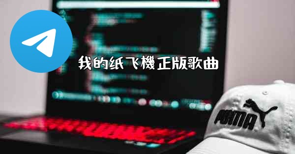 我的纸飞機正版歌曲