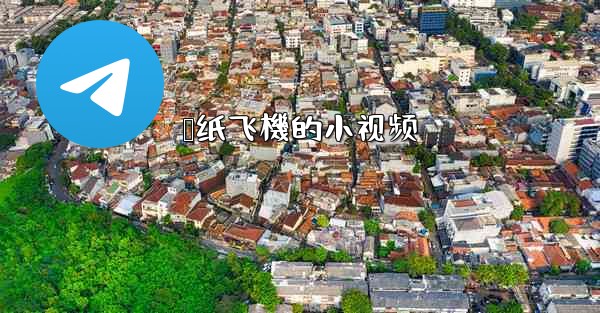 叠纸飞機的小视频