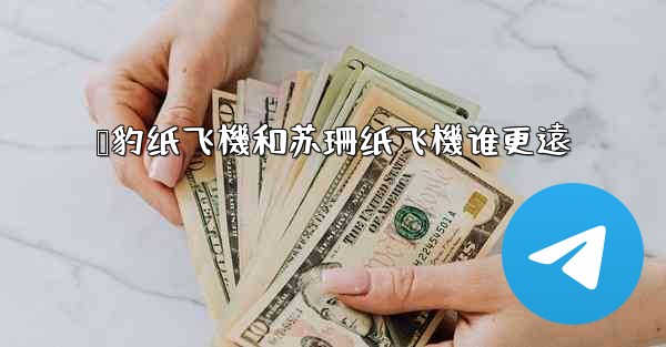 猎豹纸飞機和苏珊纸飞機谁更遠