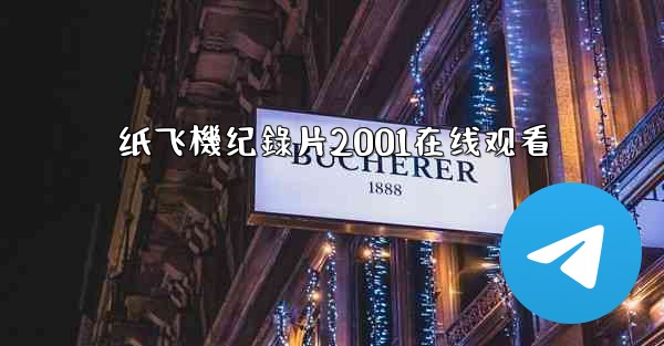 纸飞機纪錄片2001在线观看