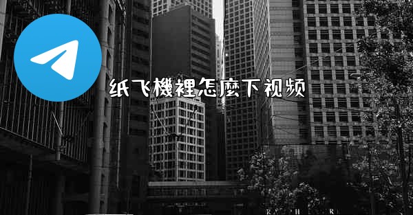 纸飞機裡怎麼下视频