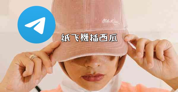 纸飞機插西瓜