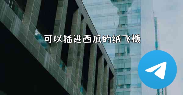 可以插进西瓜的纸飞機