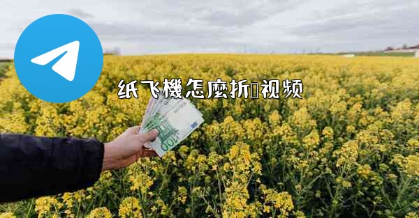 纸飞機怎麼折叠视频