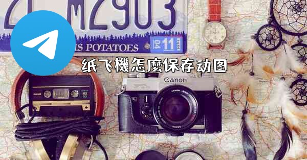 纸飞機怎麼保存动图