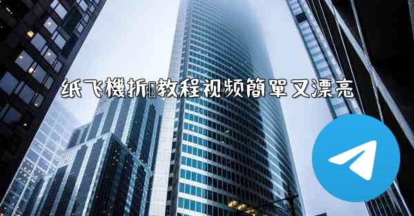 纸飞機折叠教程视频簡單又漂亮