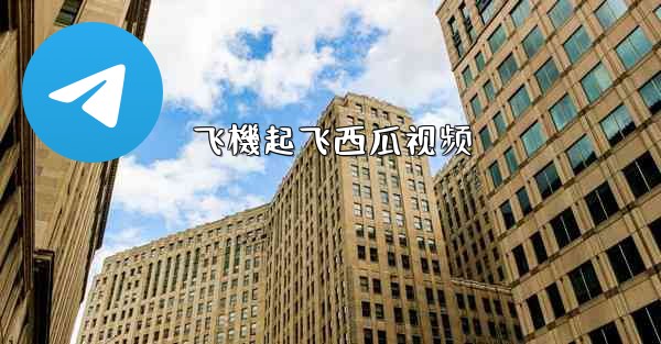 飞機起飞西瓜视频