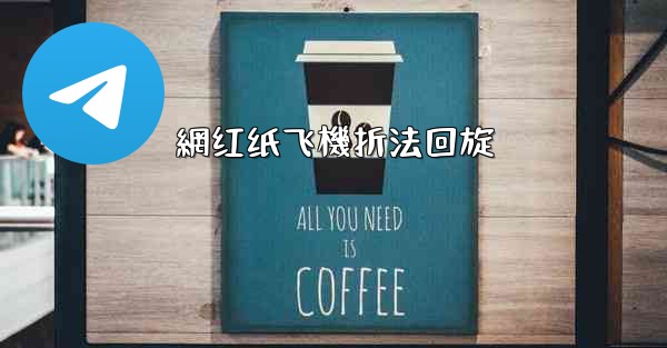 網红纸飞機折法回旋