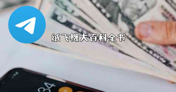 纸飞機大百科全书