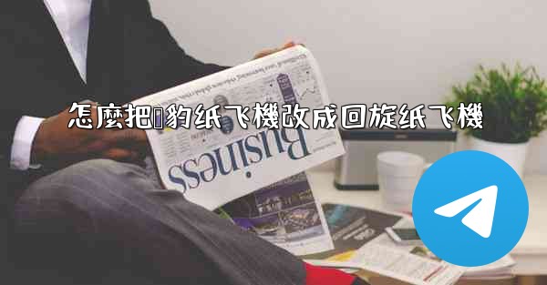 怎麼把猎豹纸飞機改成回旋纸飞機