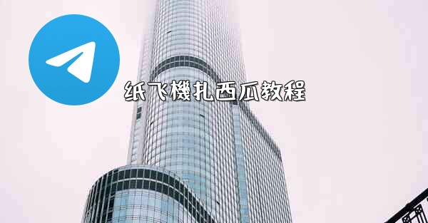 纸飞機扎西瓜教程