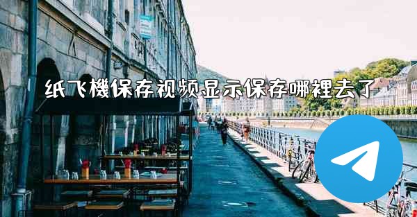 纸飞機保存视频显示保存哪裡去了