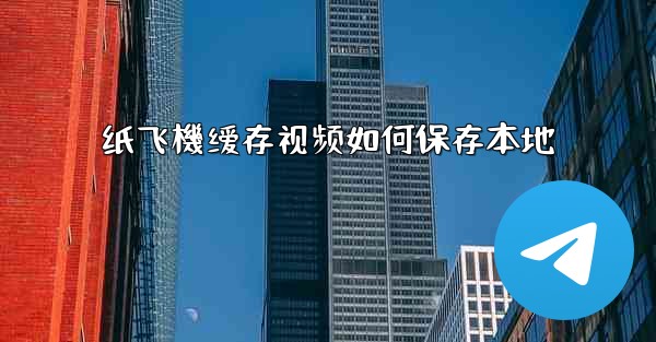 纸飞機缓存视频如何保存本地