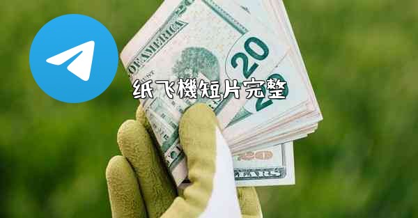 纸飞機短片完整