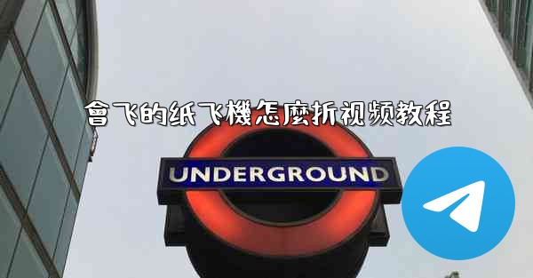 會飞的纸飞機怎麼折视频教程