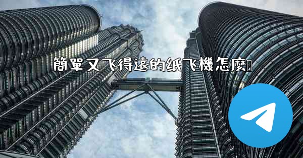 簡單又飞得遠的纸飞機怎麼叠