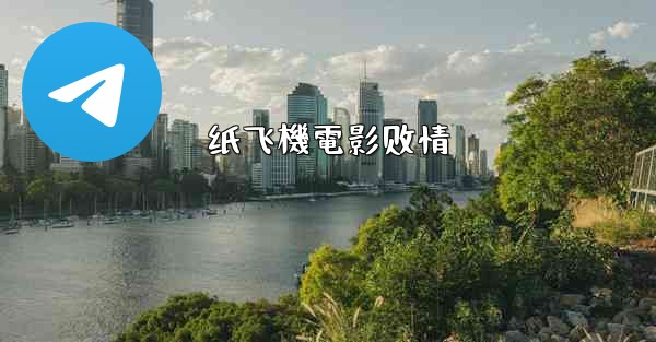 纸飞機電影剧情