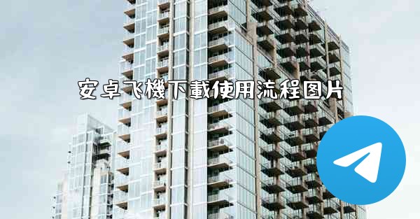 安卓飞機下載使用流程图片