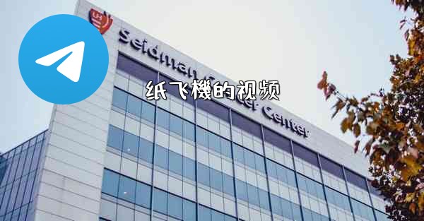 纸飞機的视频