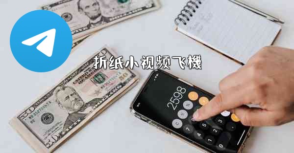 折纸小视频飞機