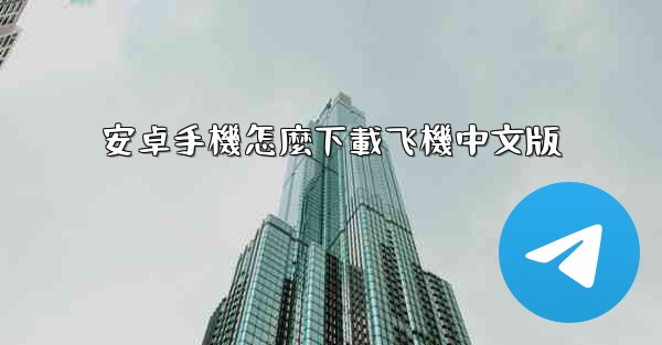 安卓手機怎麼下載飞機中文版