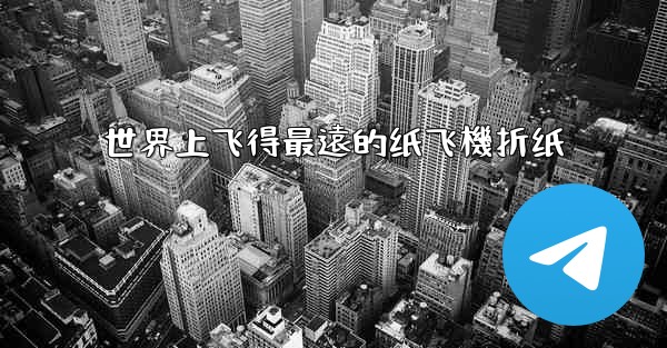 世界上飞得最遠的纸飞機折纸