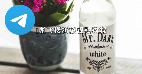 枭龙飞機折纸视频教程