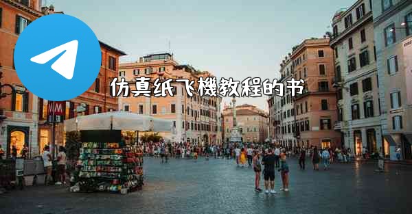 仿真纸飞機教程的书