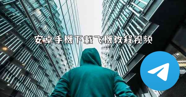 安卓手機下載飞機教程视频