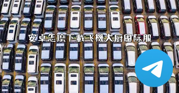 安卓怎麼下載飞機大厨國际服