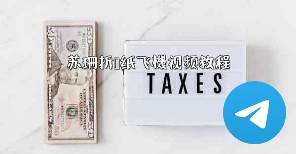 苏珊折叠纸飞機视频教程