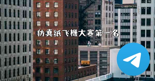 仿真纸飞機大赛第一名