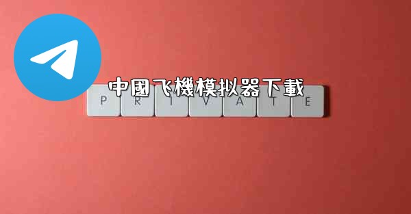 中國飞機模拟器下載