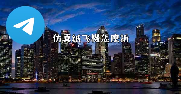 仿真纸飞機怎麼折