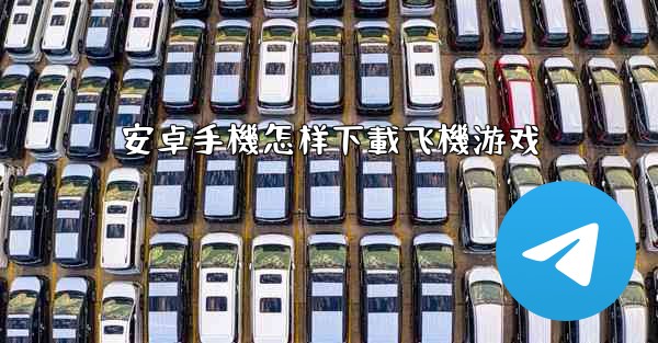 安卓手機怎样下載飞機游戏