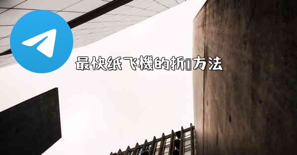 最快纸飞機的折叠方法