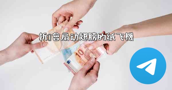 折叠會扇动翅膀的纸飞機