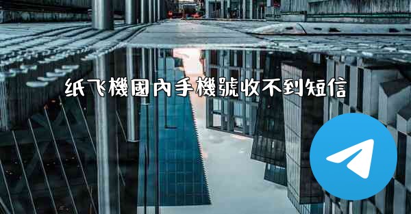 纸飞機國內手機號收不到短信