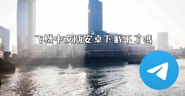 飞機中文版安卓下載不了嗎