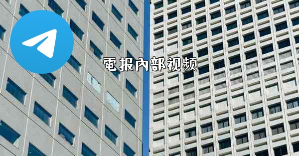 電报內部视频