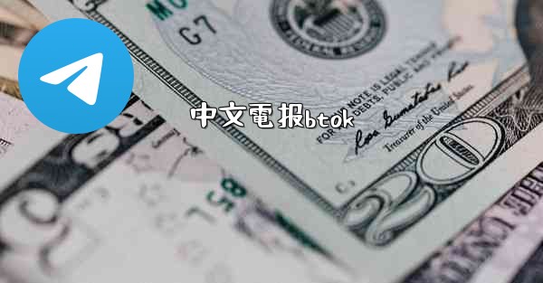 中文電报btok