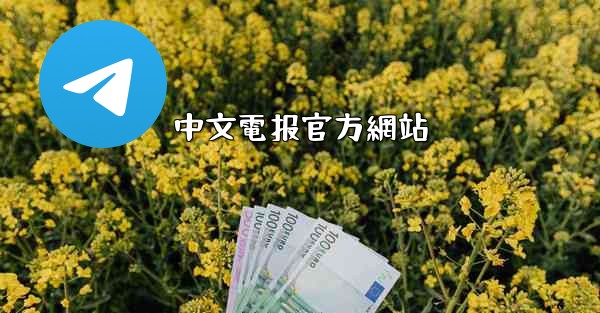 中文電报官方網站