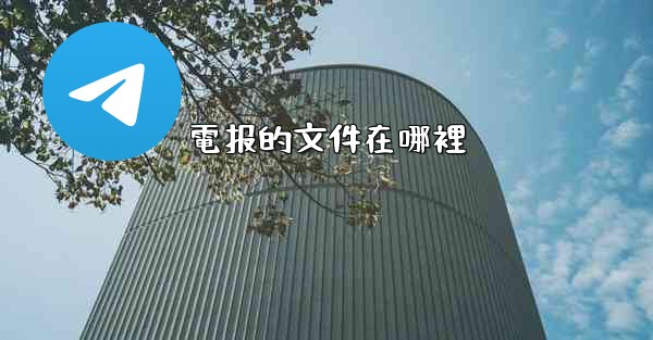 電报的文件在哪裡