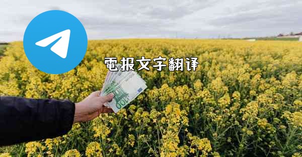 電报文字翻译